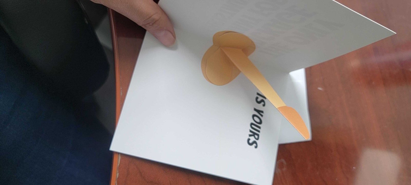 Christmas Package Card - Dicks By Mail - Anonymously mail a bag of dicks