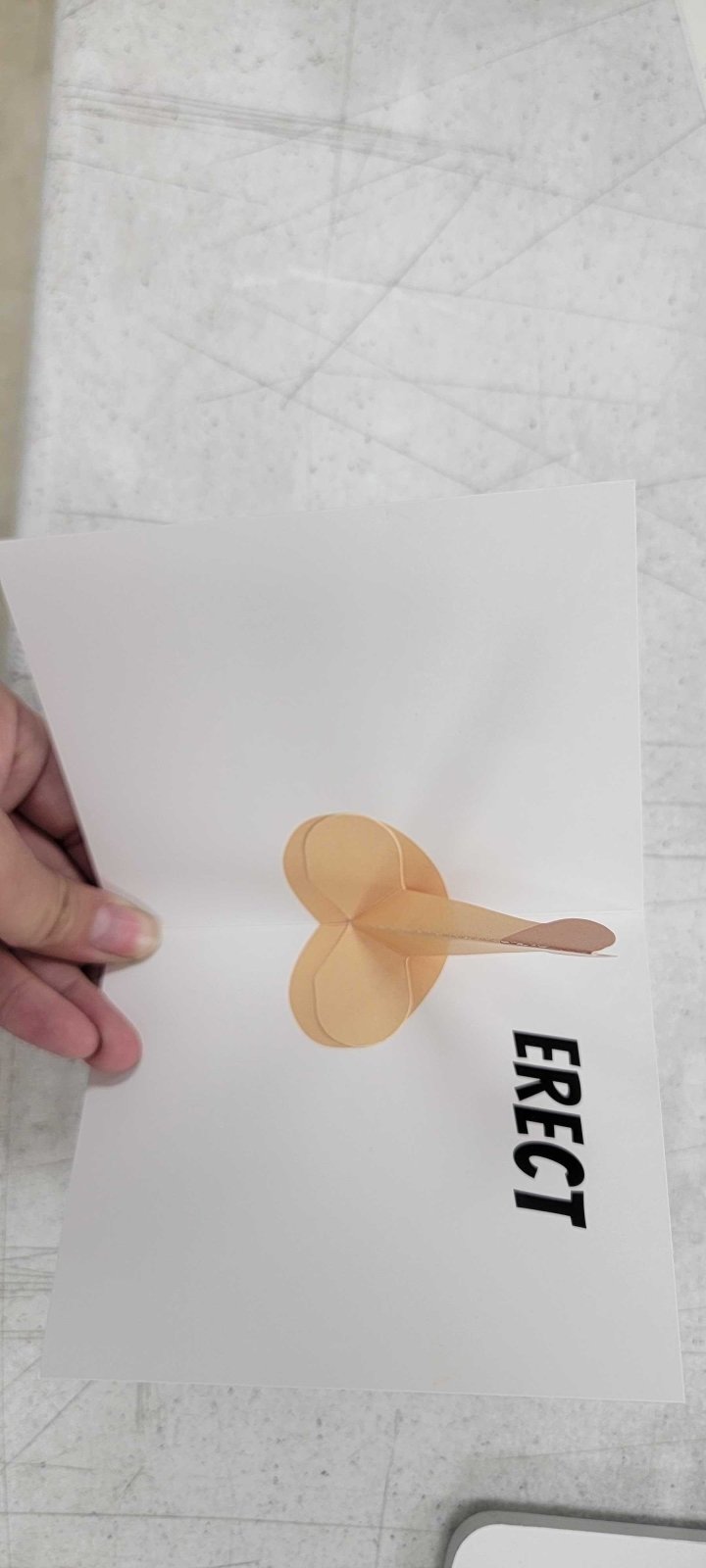 Christmas Tree Card - Dicks By Mail - Anonymously mail a bag of dicks