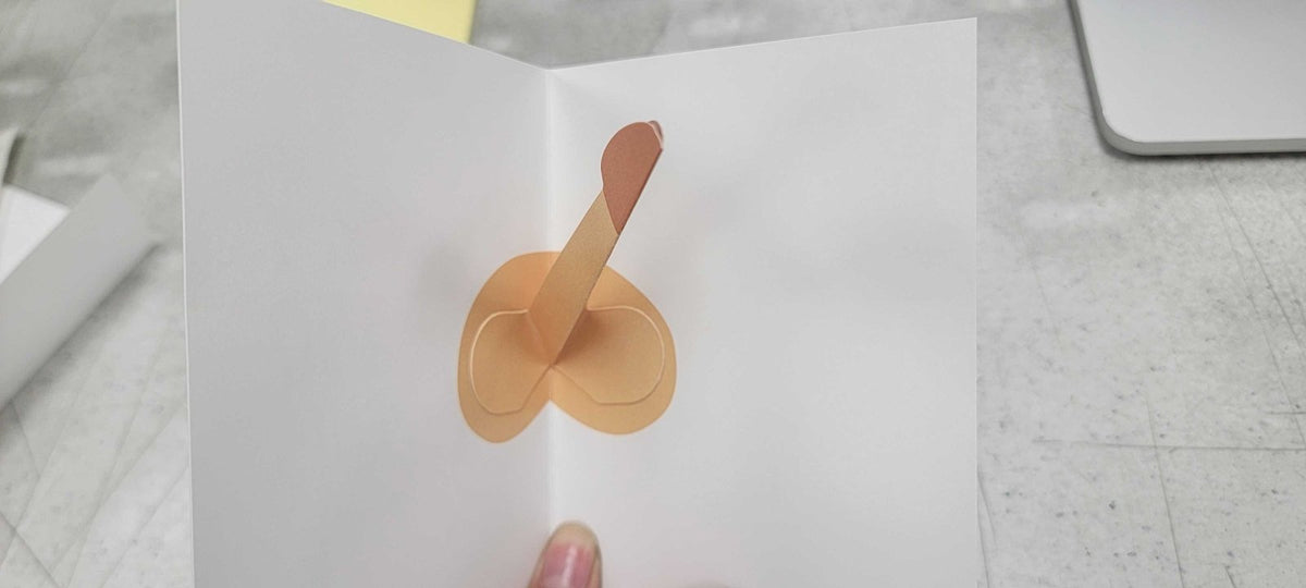 Hap - penis Card - Dicks By Mail - Anonymously mail a bag of dicks