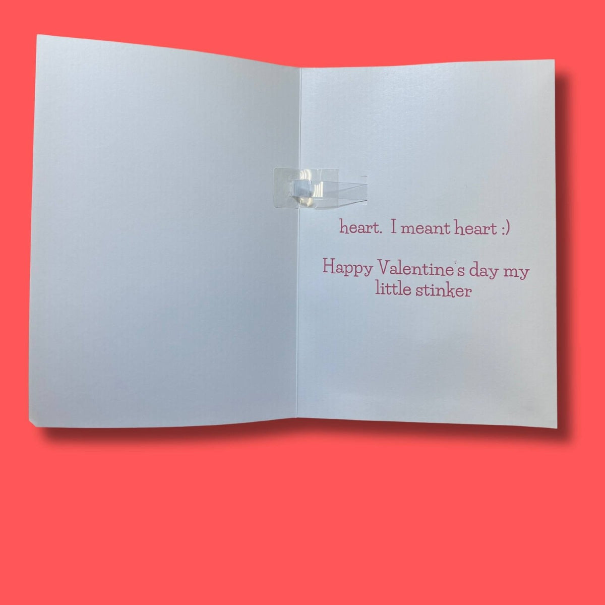 Love you With All My Farts - Dicks By Mail - Anonymously mail a bag of dicks