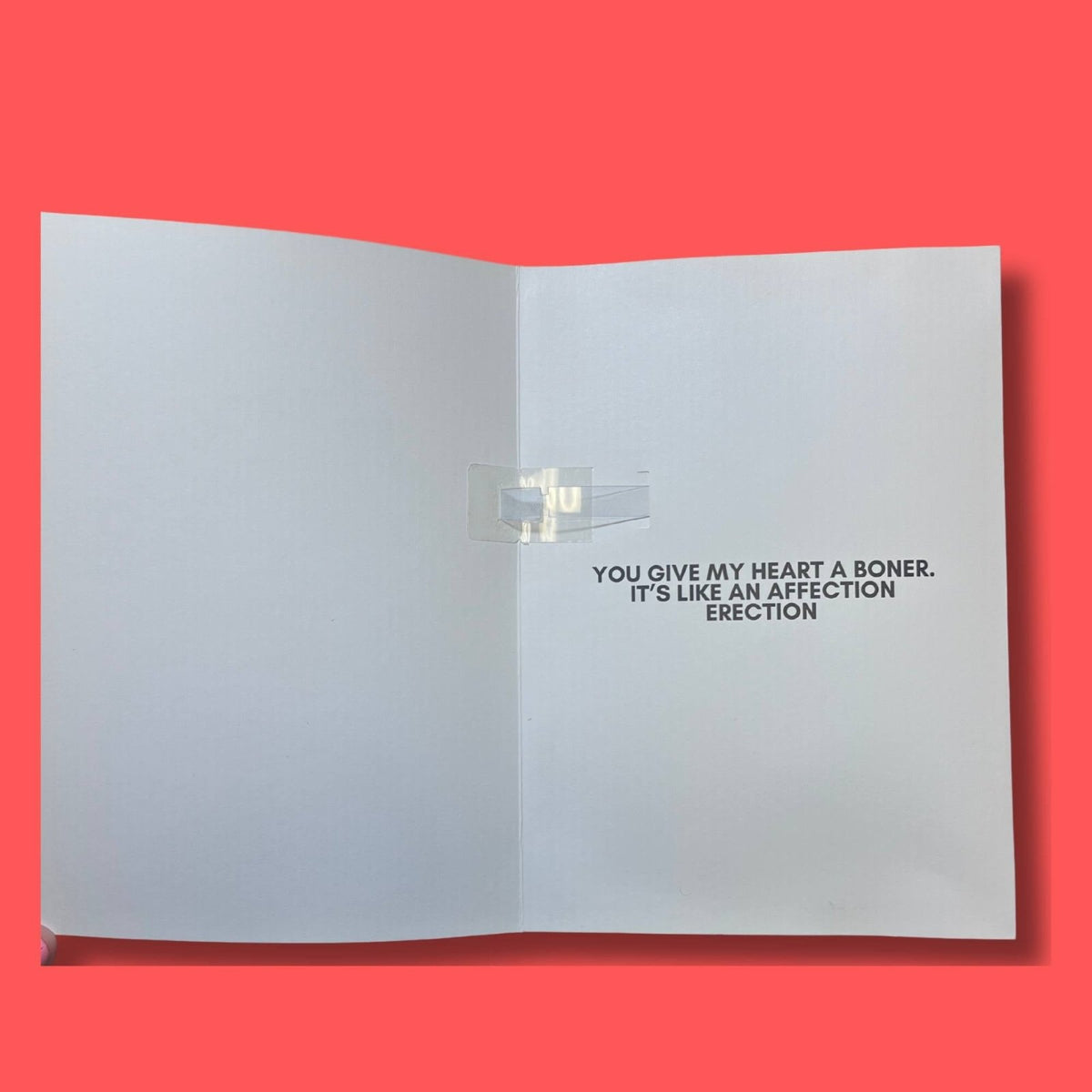 Nuts About You - The Endless Singing Card - Dicks By Mail - Anonymously mail a bag of dicks