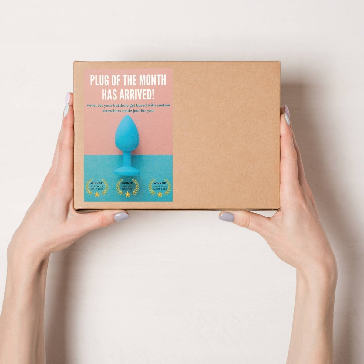 Prank Product Boxes - Dicks By Mail - Anonymously mail a bag of dicks
