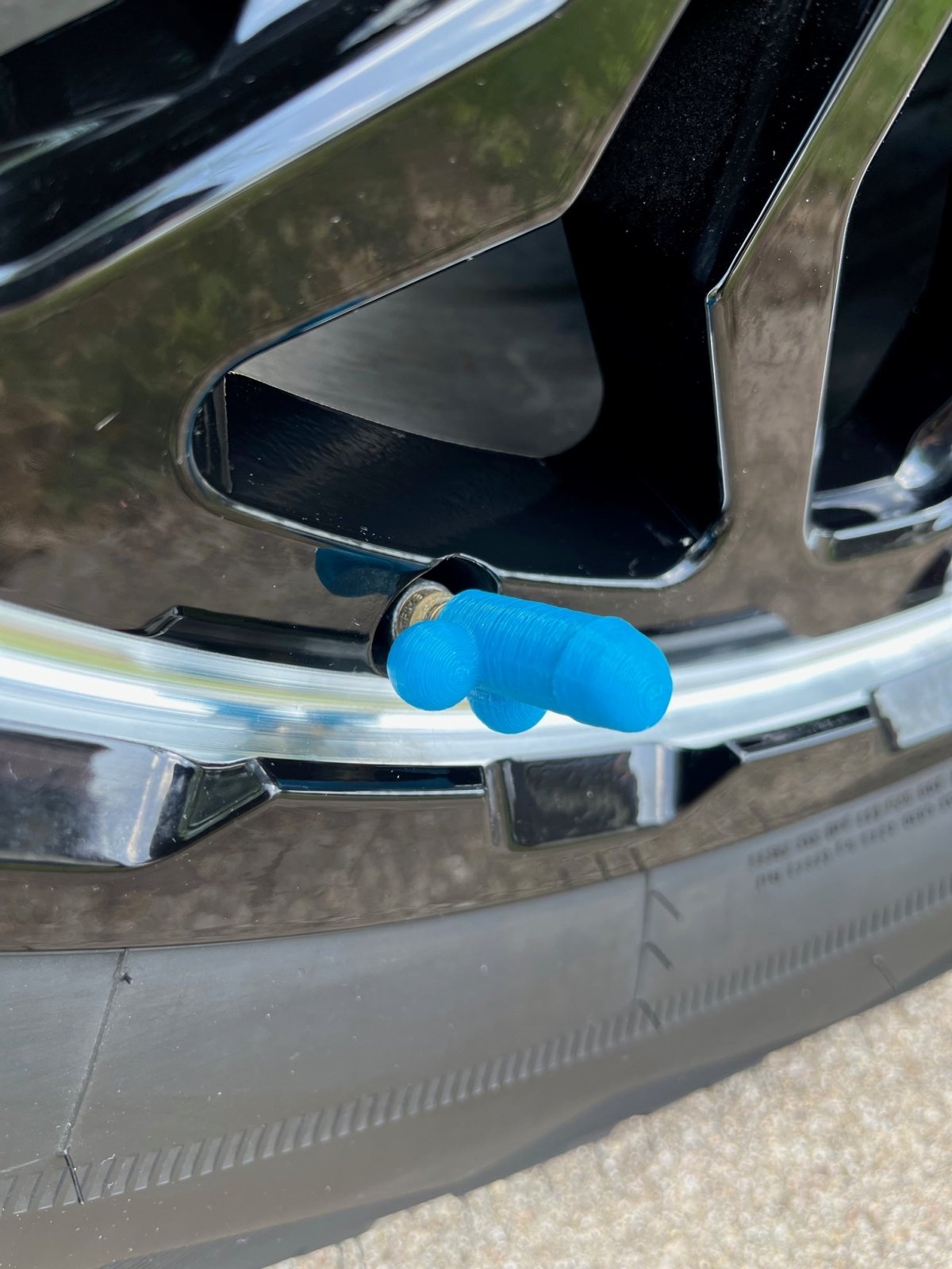 Wheel Willies - Hilarious Weiner Valve Caps - Dicks By Mail - Anonymously mail a bag of dicks