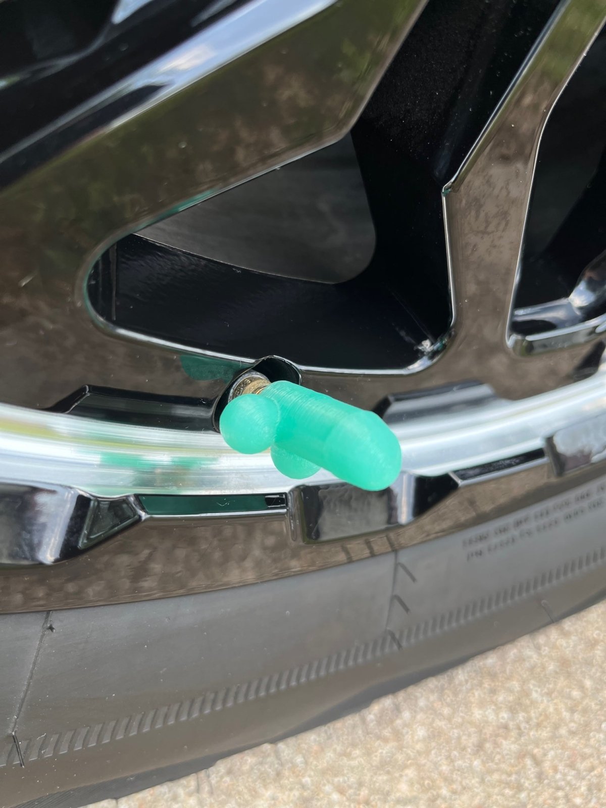 Wheel Willies - Hilarious Weiner Valve Caps - Dicks By Mail - Anonymously mail a bag of dicks