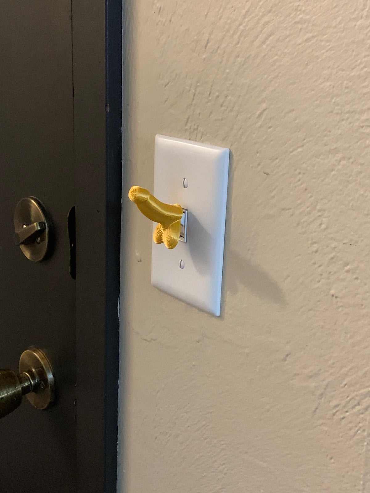 The Dick Light Switch!