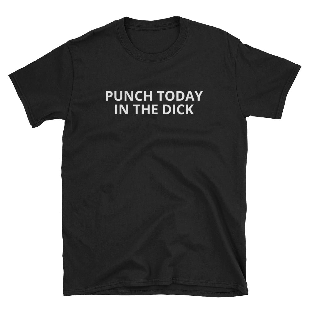 Punch Today In The Dick T-Shirt - Dicks By Mail - Anonymously mail a bag of dicks